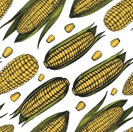 seamless pattern with sketch corn