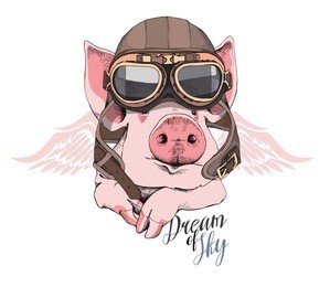 funny pig in a retro leather aviator helmet and with a wings. vector illustration.