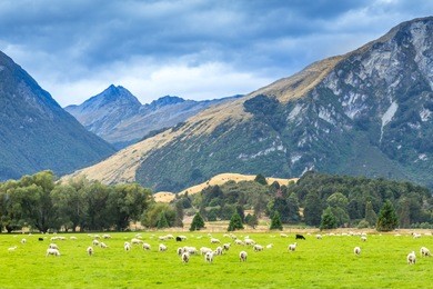 queenstown in new zealand. the city of adventure and nature.
