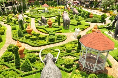 nong nooch garden & resort in chunburee, thailand. green park, green garden.