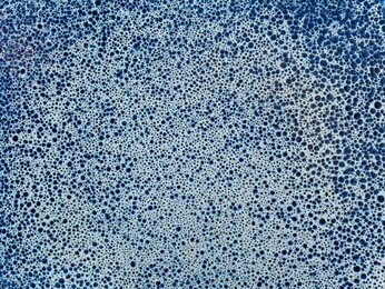 background photo of white ceramic plate with many small random blue dot pattern.
