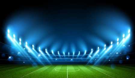 public buildings. football arena. world cup vector illustration