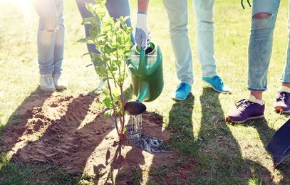 volunteering, charity, people and ecology concept - group of volunteers planting and watering tree with can outdoors