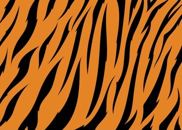 abstract print animal seamless pattern. zebra, tiger stripes vector
