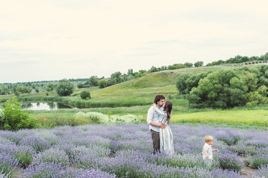 a young couple with a child is walking along the lavender field. provence. beautiful field of lavender.