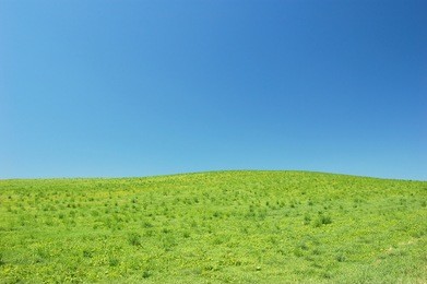 grassland hill landscape - biei, hokkaido, japan