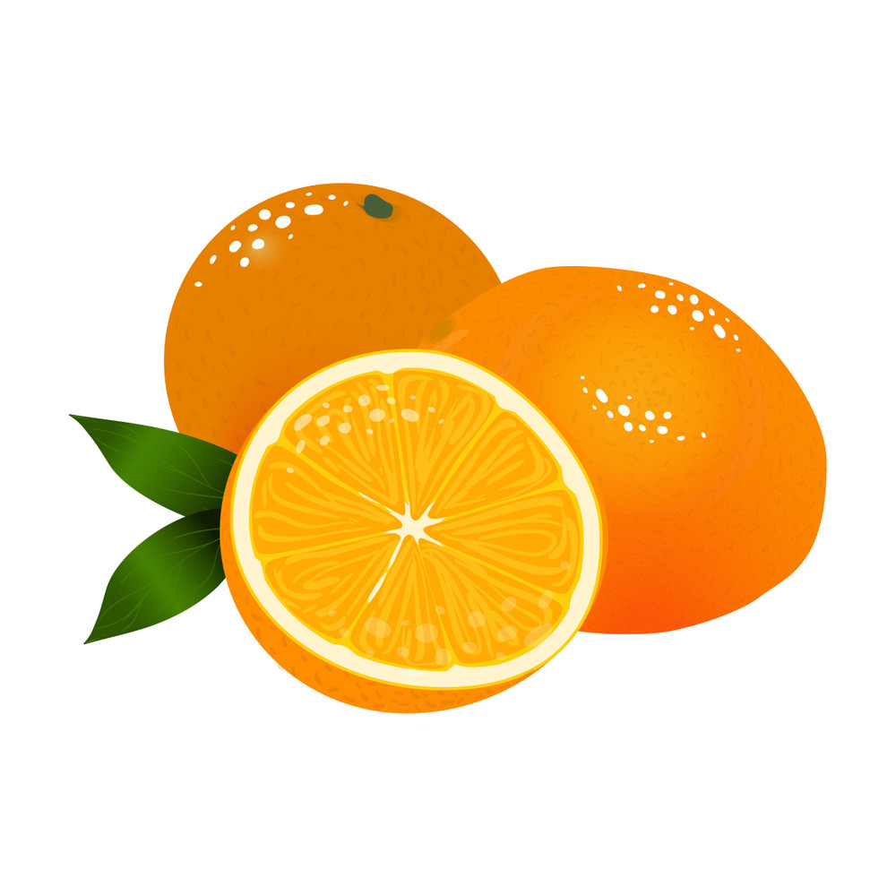 vector cartoon elements for design.