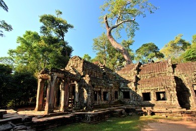 ta prohm temple, temples of angkor, cambodia