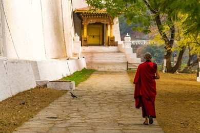 monk at punakha dzong