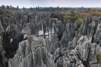 panoramic view of the stone forest in kunming, yunnan province, china  also know as shilin