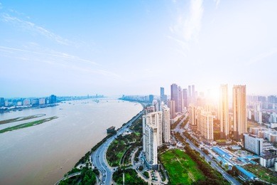 shenzhen bay buildings and skyline