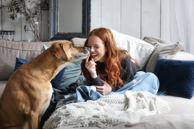 beautiful redhead woman sitting on a sofa laughing and cuddling a dog 