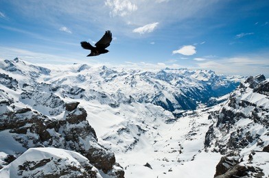 urner alps, view from top of titlis mountain, obwalden, switzerland