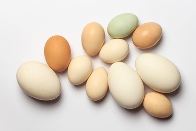 various egg and goose eggs close-up