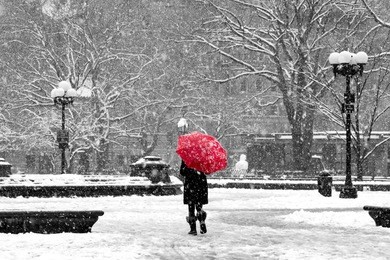 woman with red umbrella walking through black and white landscape during nor’easter snow storm in washington square park, new york city