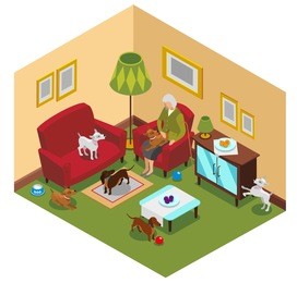 ordinary life of old lady and small dogs, isometric composition with home interior, vector illustration