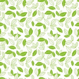 hand drawn green tea leaves or mint leaf seamless pattern. medicinal plants or spicy herbs vector background