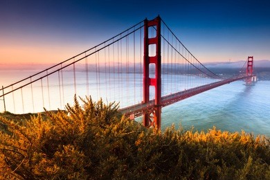 the golden gate bridge of san francisco, california basks in the warm colorful foggy light of an early morning.