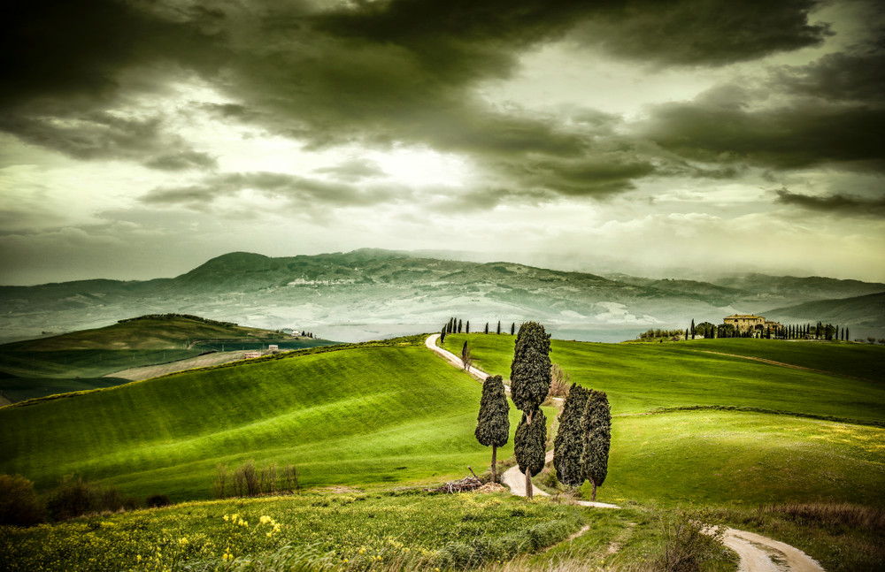 tuscany road and green spring time of colors. 