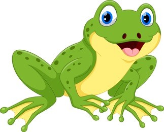 cute frog cartoon isolated on white background