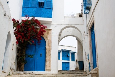 blue doors, window and white wall of building in sidi bou said, tunisia