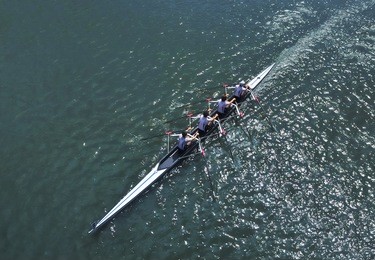 four young sportsmen rowing  on a sunny day