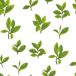 seamless pattern with green tea, hand-drawn leaves and branches of tea