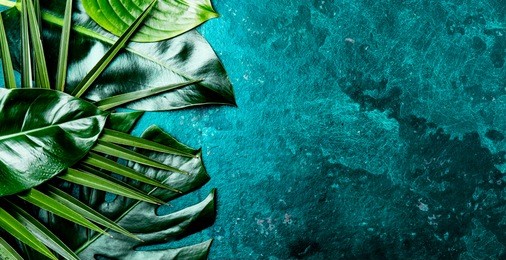 creative tropical leaves background. trandy tropical leaves on turquoise slate background - color of the year 2018. top view, copy space.
