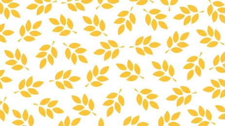 oat pattern vector. free space for text. wallpaper. background.