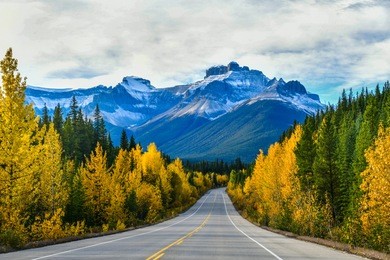 the road 93 beautiful "icefield parkway" in autumn jasper national park,canada