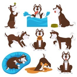 husky dog cartoon pet playing or training