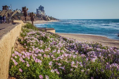 tel aviv promenade stretches over 14 kilometers from herzliya to the end of jaffa promenade, near bat yam