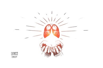 lungs concept. hand drawn human lungs in hands. concept of world tuberculosis day isolated vector illustration.