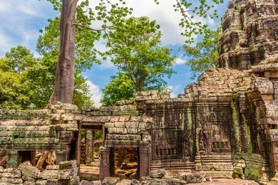 interesting view of the inner wall and corner tower of the banteay kdei temple in angkor. ancient construction stones are lying on the ground and a big tropical tree grew behind the wall ruins.