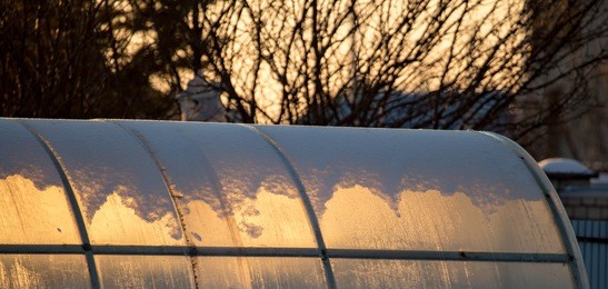 greenhouse in the rays of sunset in nature