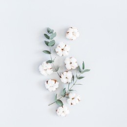 flowers composition. pattern made of cotton flowers and eucalyptus branches on pastel blue background. flat lay, top view, square