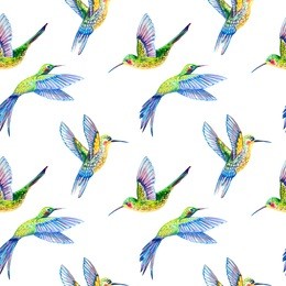 pattern bird seamless. hummingbird illustration.