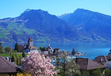
spring time in spiez, a lovely town on the shore of lake thun in the bernese oberland, switzerland with spiez church and castle as landmark