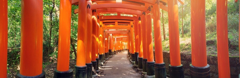 view to torii gates in fushimi inari shrine. famous place in kyoto, japan