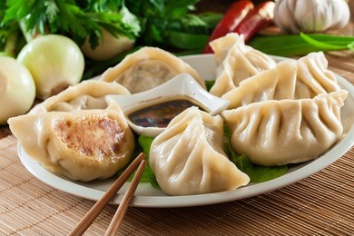 japanese dumplings - gyoza with pork meat and vegetables on a plate