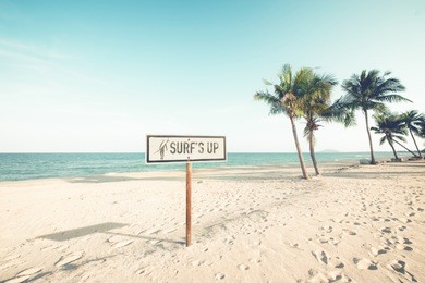 landscape of coconut palm tree on tropical beach in summer. beach sign for surfing area. vintage effect color filter.
