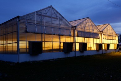 greenhouse in row and lighting from neon to accelerate plant growth. 