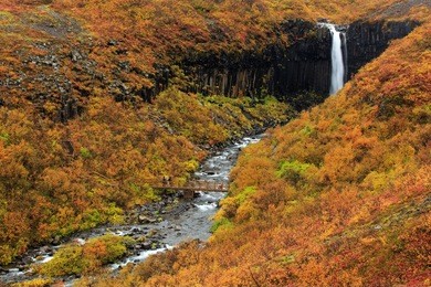 dramatic morning view of famous svartifoss (black fall) waterfall. colorful summer sunrise in skaftafell, vatnajokull national park, iceland, europe. artistic style post processed photo.
