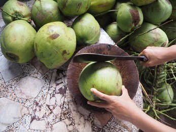 man using knife to chopped fresh coconut for drink and green coconuts background, top view.