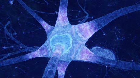 neurons activity. synapses and axones transmitting electrical signals.