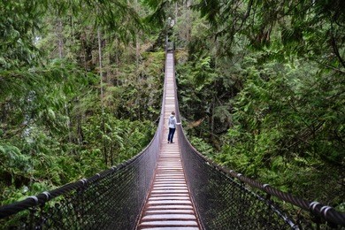 suspension bridge over the canyon in rain forest. woman hiking  in lynn canyon provincial park. north vancouver. british columbia. canada.
