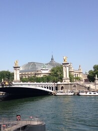 center of paris in may : alexander bridge and grand palace