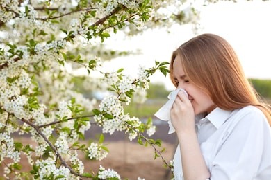 pollen allergy symptom. sideways outdoor shot of young european female sneezes in handkerchief or blows in wipe , being allergic to blossom during spring, stands on front of blooming tree outside.