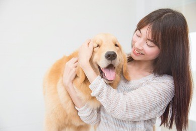 asian beautiful woman playing with her dog and smiles at home