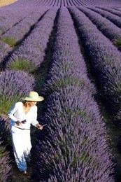 woman in the lavender fields
